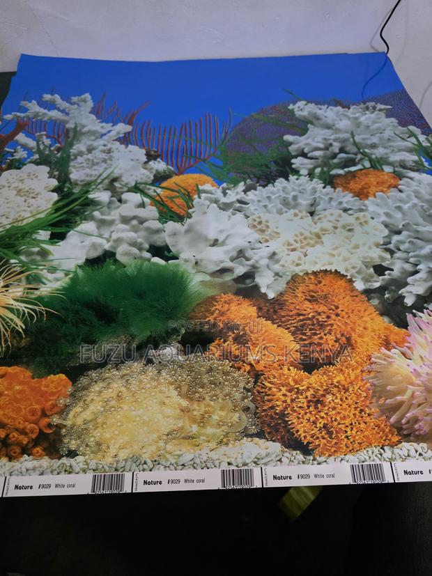 Premium Glossy Finish Fish Aquarium Backdrop - main view