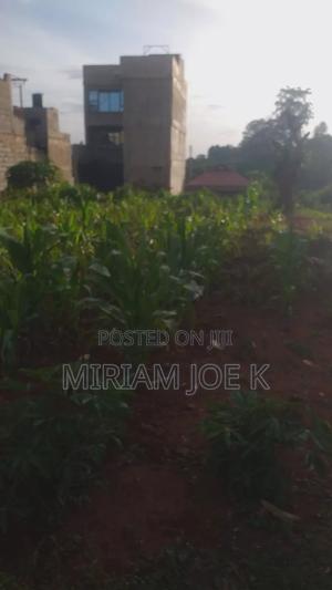 Kenyatta Road - thumbnail 2