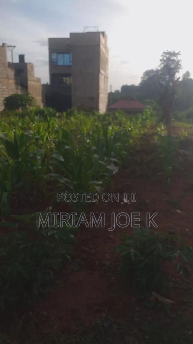 Kenyatta Road - main view