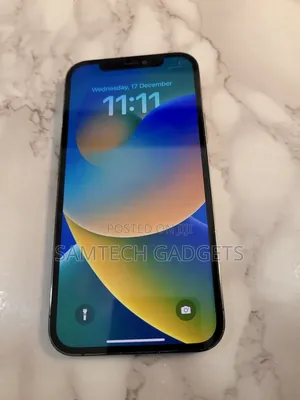 Apple iPhone 12 Pro 256 GB Gray