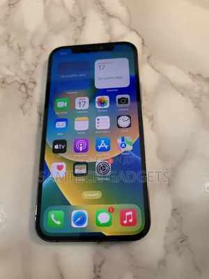 Apple iPhone 12 Pro 256 GB Gray