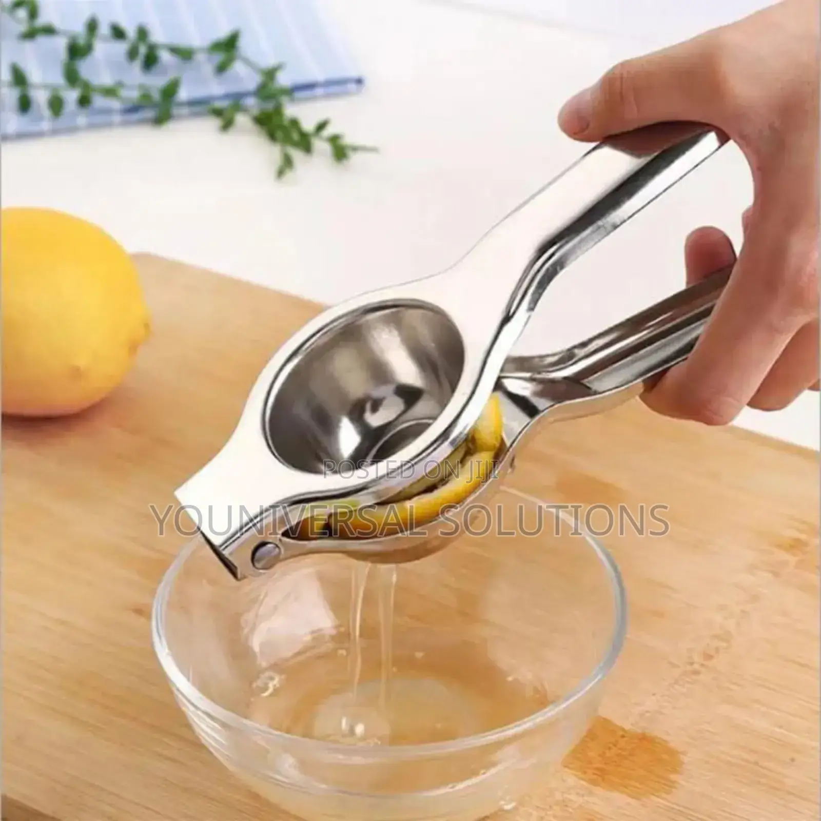 Lemon Squeezer Juice