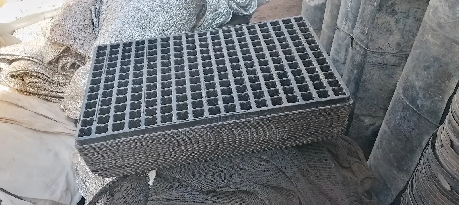 Seedling Trays