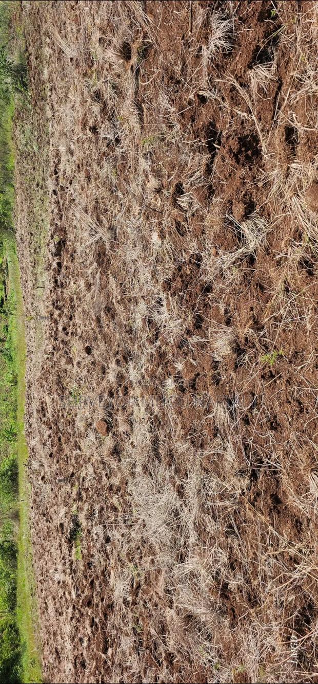 Prime Plots in Kenol, Kagaa - main view