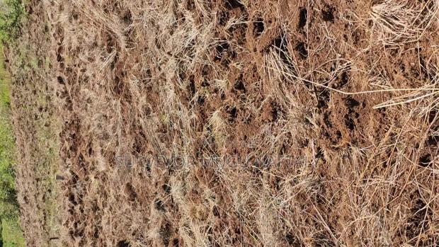 Prime Plots in Kenol, Kagaa - thumbnail 4