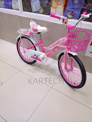 Girls Pink Bicycle With Front Basket – Kids Bike Size 20