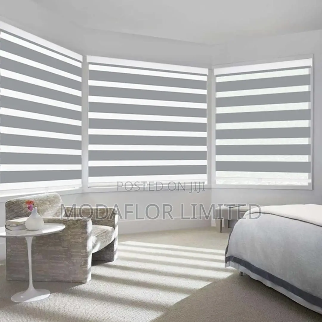 . Modern Zebra Blinds for Living Rooms Bedrooms