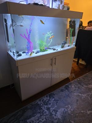 Modern Gloss White Aquarium Complete Set – 3ft - thumbnail 2