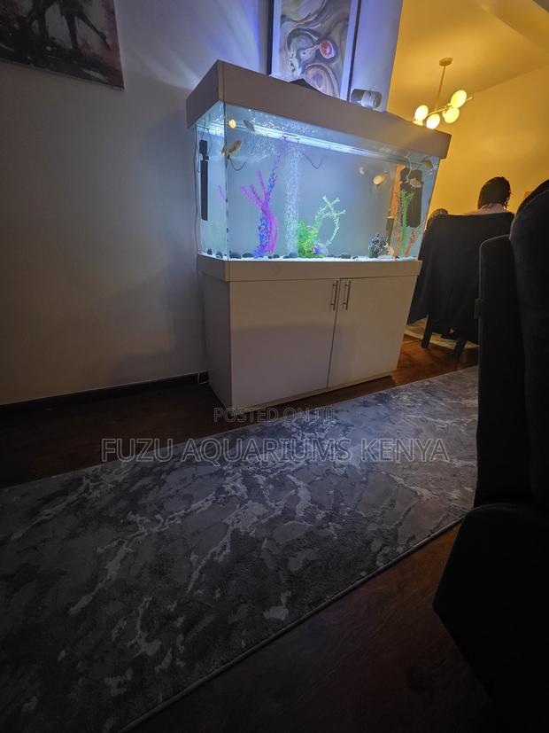 Minimalist White Aquarium Kit – Ready for Water - main view