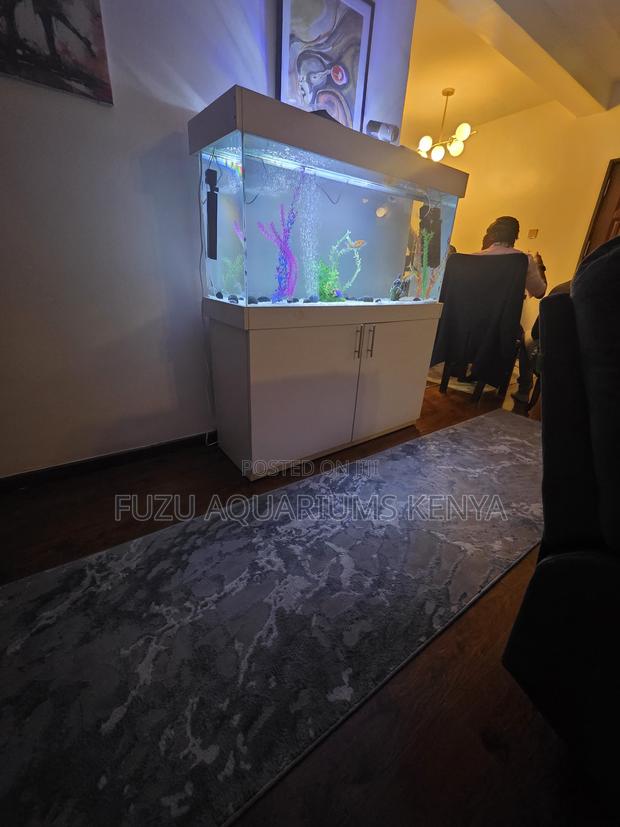 Premium White Finish Aquarium – Full Starter Pack - main view