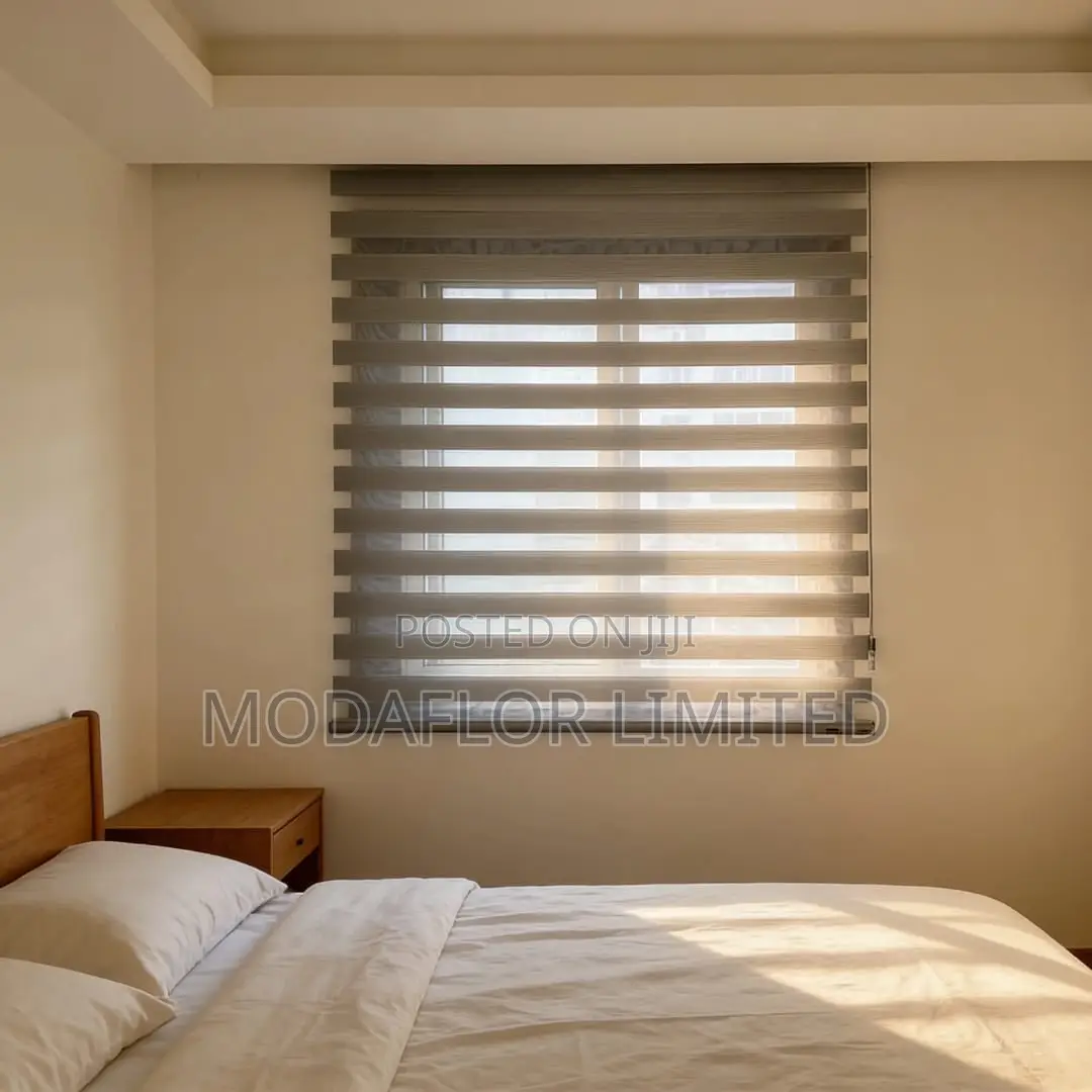 Zebra Roller Blinds for Day Night Use