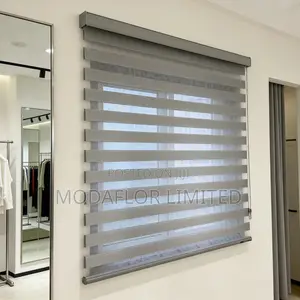 Stylish Day and Night Zebra Window Blinds
