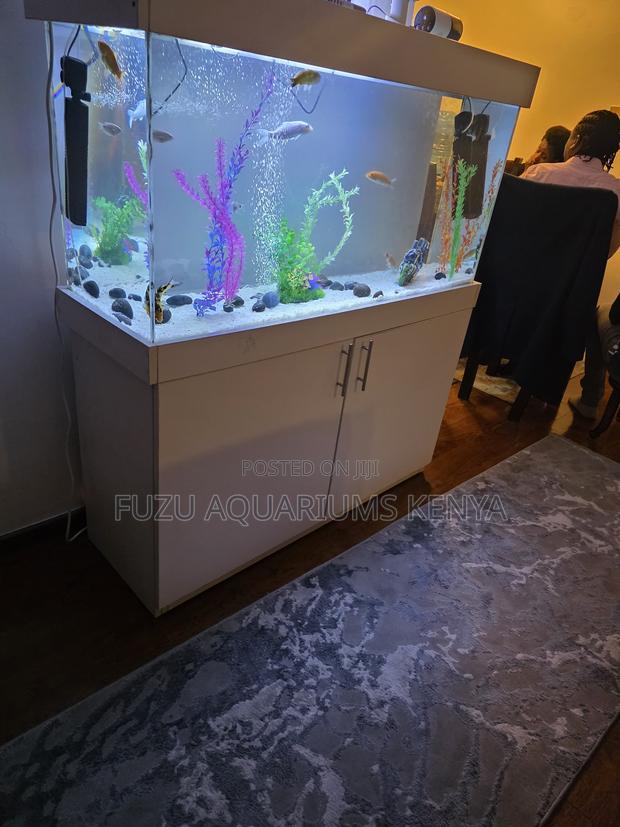 Contemporary White Aquarium With Shipwreck Decor - main view