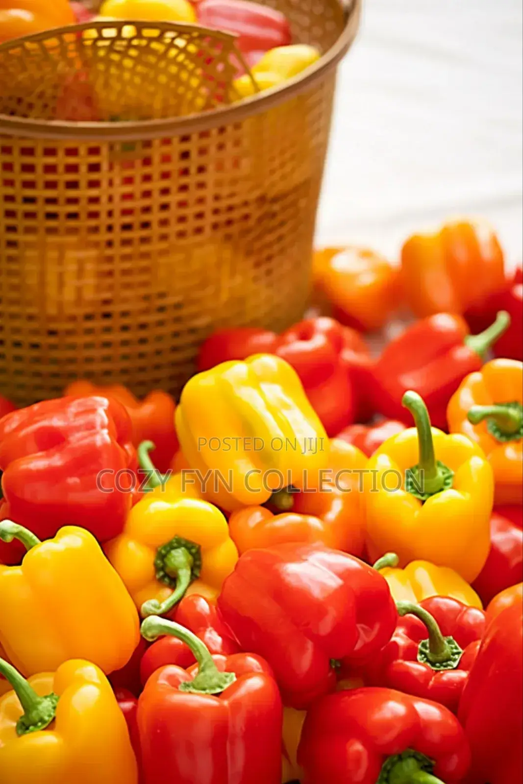 Coloured Capsicum (Hoho)