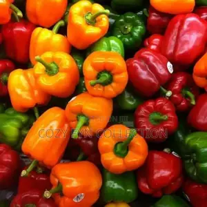 Coloured Capsicum (Hoho)