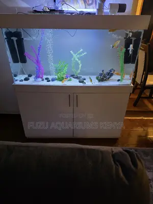 Classic Light Wood Aquarium – Full Setup