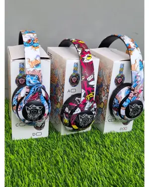 Rechargeable Headphones