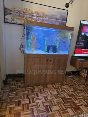 Plug-and-Play Aquarium Set (White or Wood)