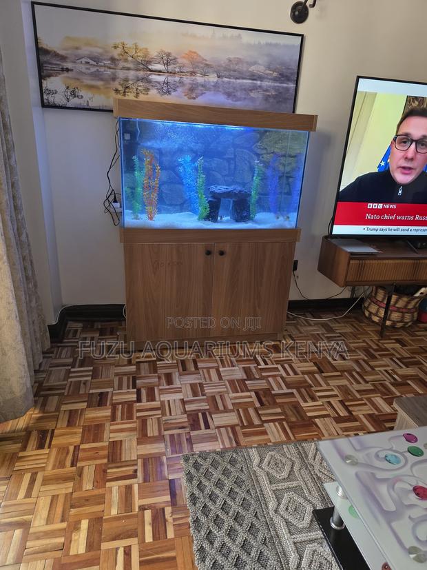 Best Value: Full Size Aquarium With Accessories - main view