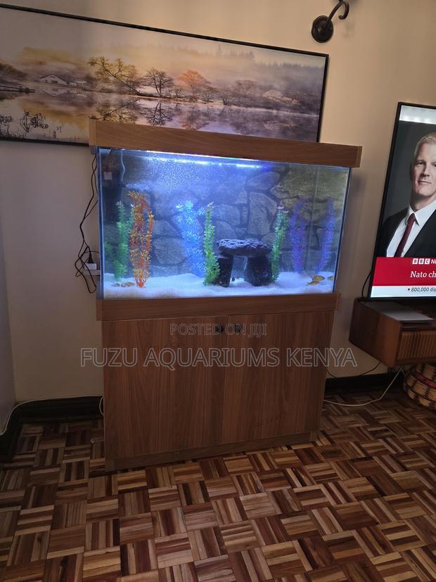 The "Stress-Free" Aquarium Setup - main view