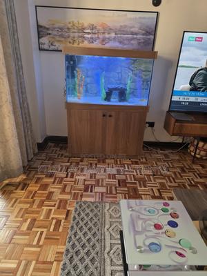 Large Viewing Aquarium – Fully Equipped - thumbnail 2