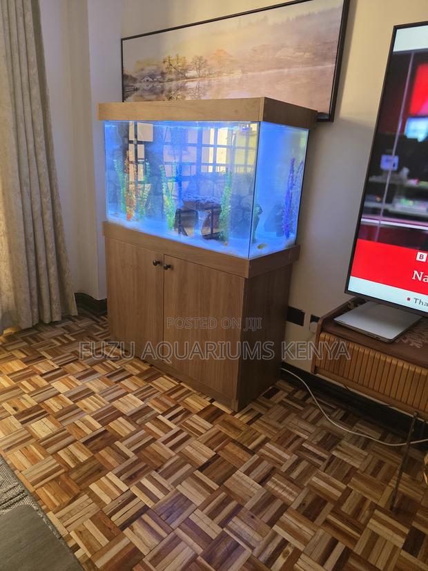 Tropical Aquarium Setup – Heater Filter Ready - main view