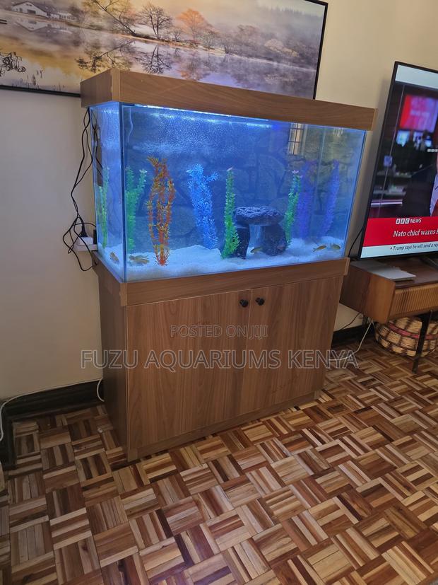 Beautifully Illuminated Aquarium Set - main view