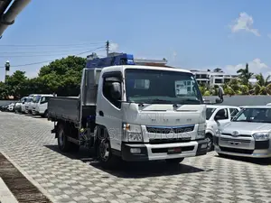 Mitsubishi Fuso 2017 White