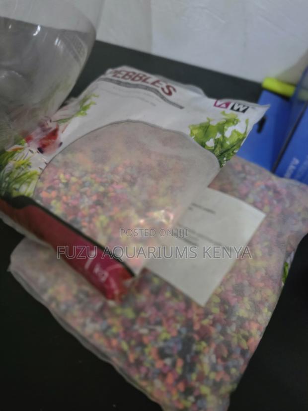 1kg Mixed Colorful Aquarium Pebbles - Instant Tank Brightener - main view