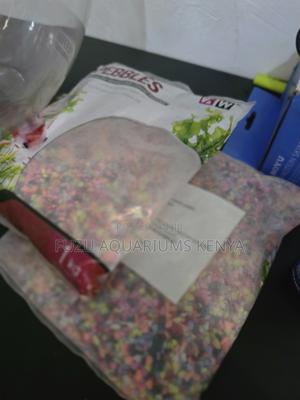 Decorative Colorful Stones for Aquariums Vases at 500/-