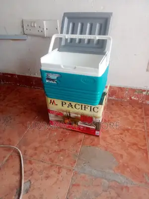 Compact 4.5l Cooler Box – Portable Cooling for Drinks Snacks