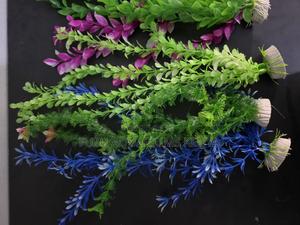 Create a Dense Jungle: Long Fish Tank Plants at 200/- - main view