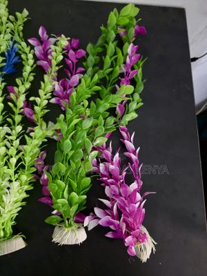 Vibrant Purple Green Tall Aquarium Plants - main view