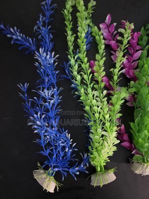 Easy-Clean Long Aquarium Plants (No Maintenance) - main view