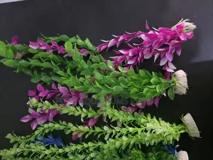 Hiding Spots for Fish: Tall Aquarium Plants