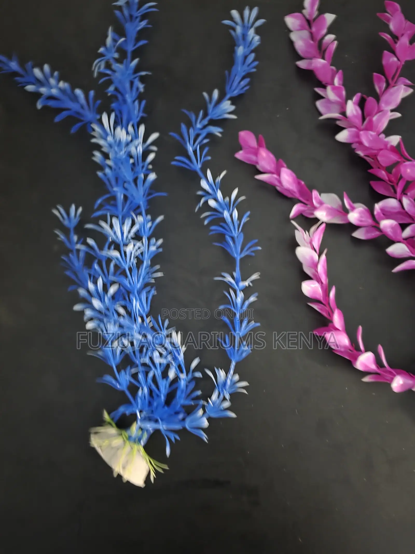 Realistic Long Water Aquarium Plants - 200sh Deal