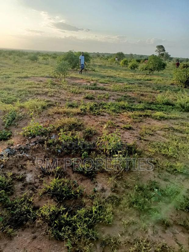 Naromoru Prime Plots for Sale - main view