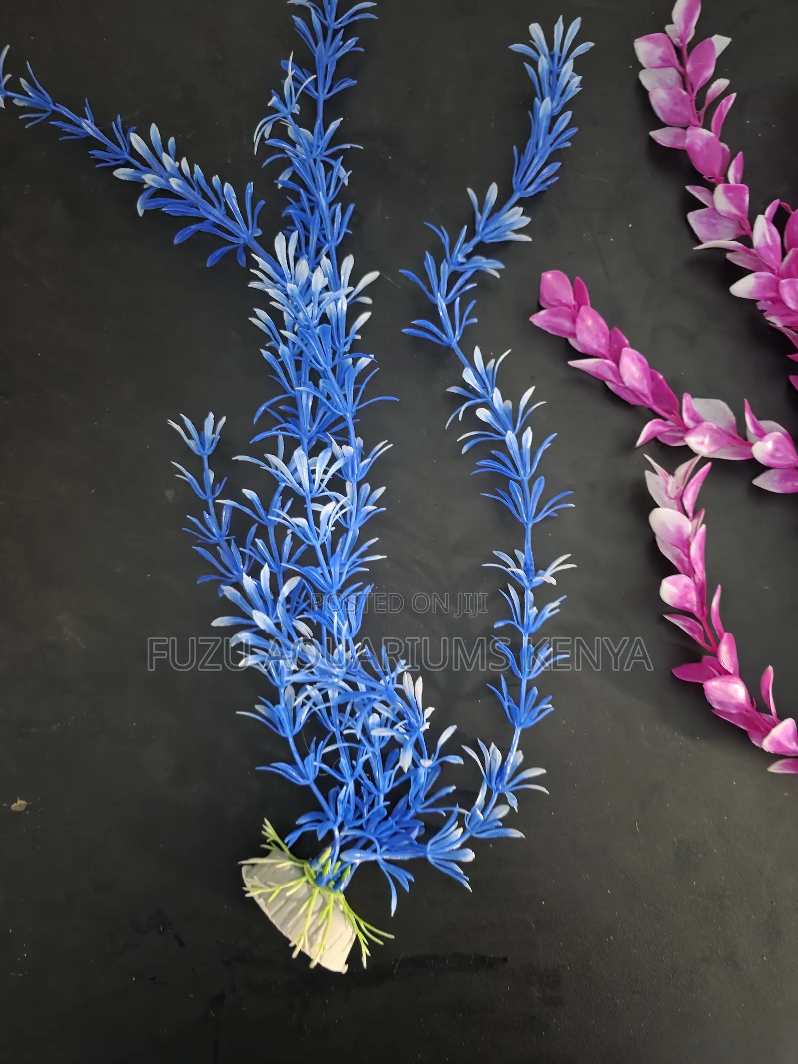 Fade-Resistant Aquarium Plants (Long Series)