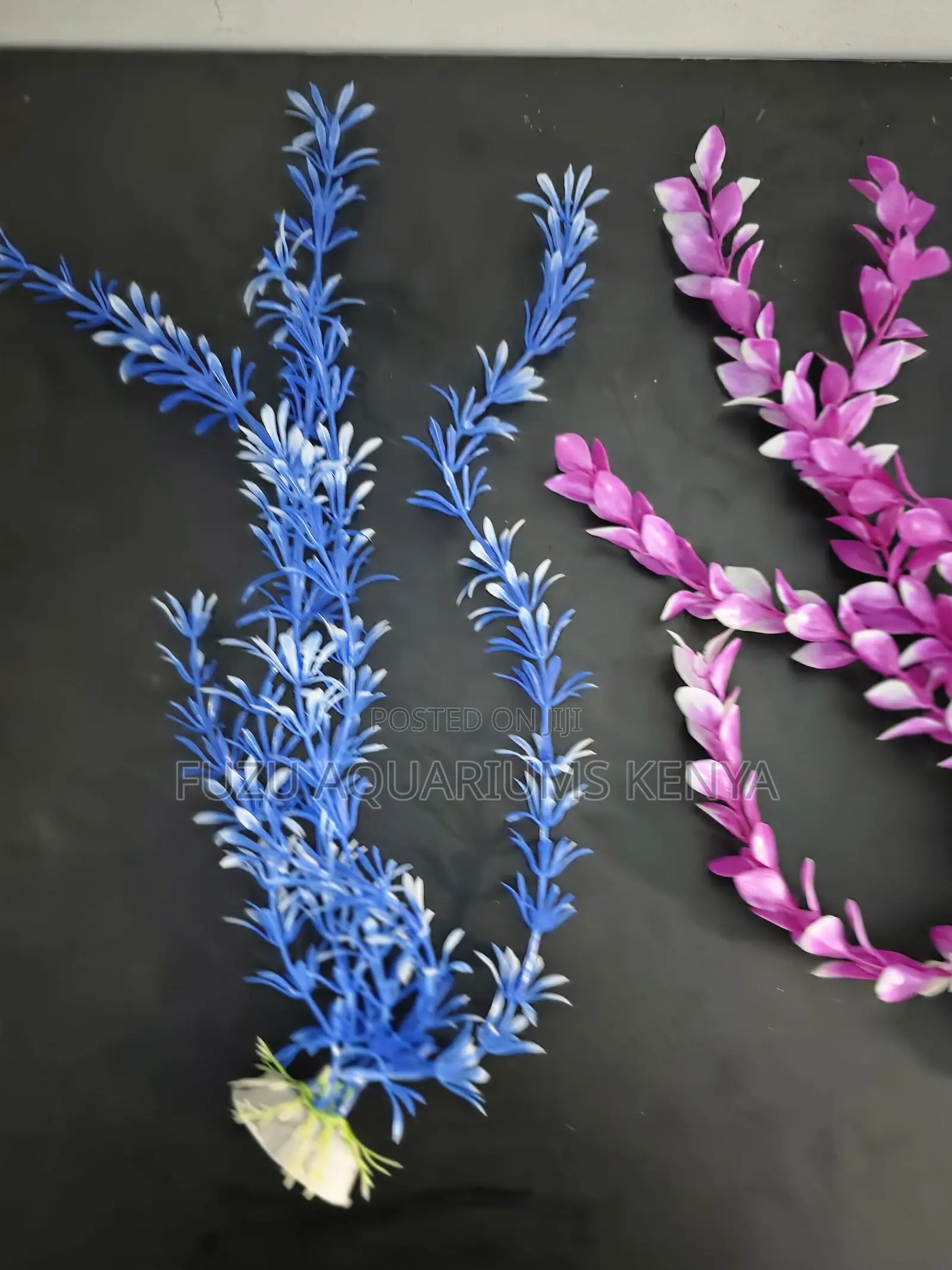 Safe Decor for Freshwater Saltwater Tanks