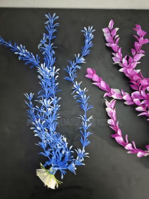 Safe Decor for Freshwater Saltwater Tanks - main view