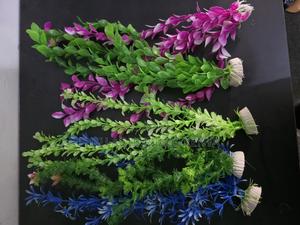 Fry Protection: Dense Tall Aquarium Plants - main view