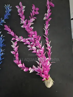 Hot Deal: Long Aquarium Plants at 200sh