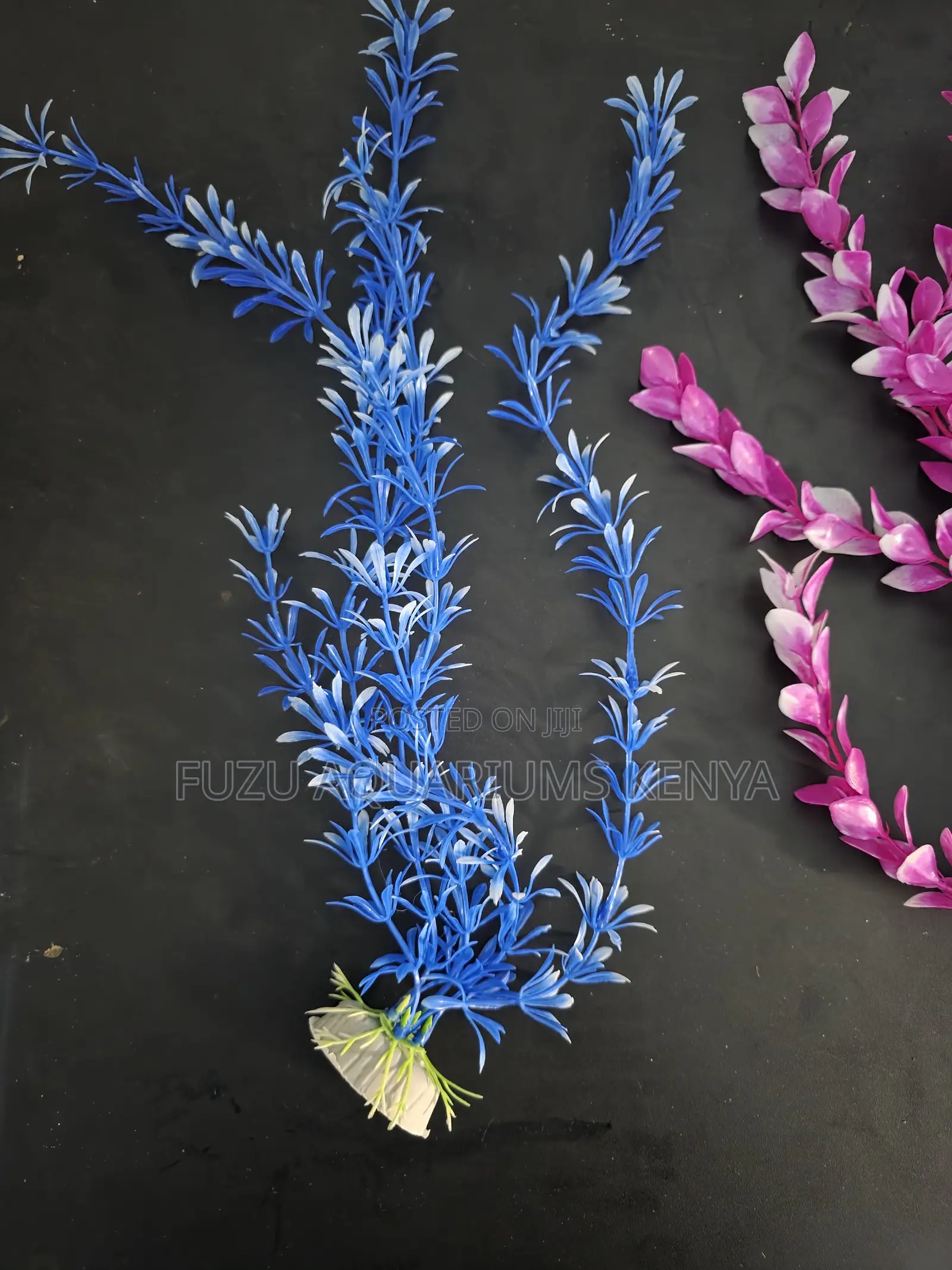 200sh Only for Tall Aquarium Plants