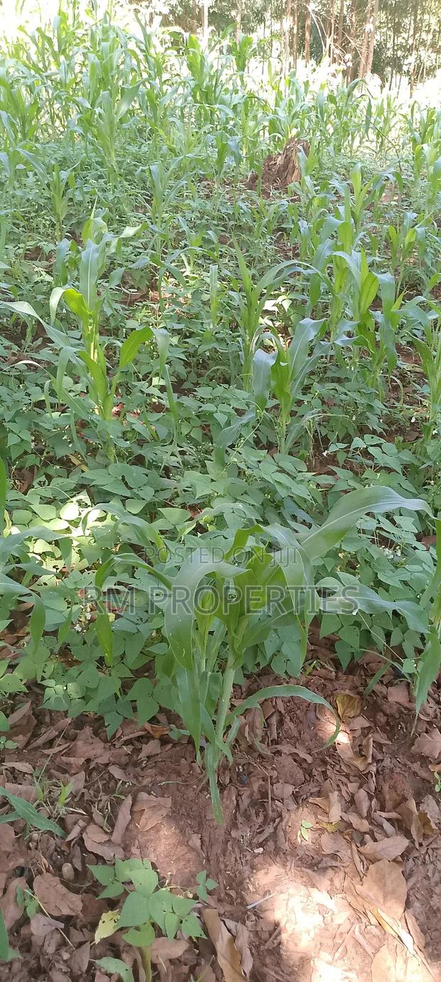 Naivasha Plots for Sale