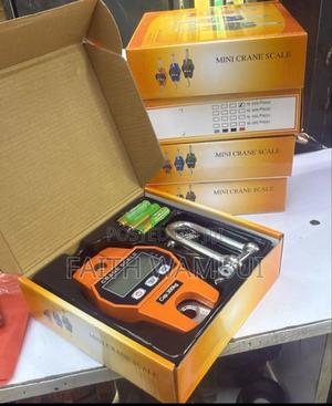 300kg Crane Scale/Crane Scale 300 - main view