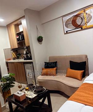 Amazing Studio in Nairobi West - main view