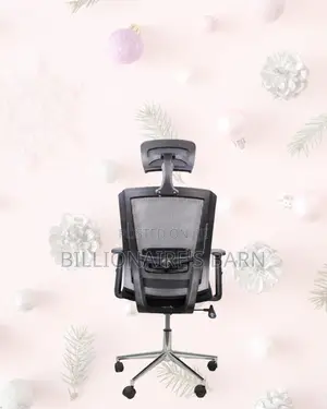 Adjustable Mesh Work Chair | Comfort Meets Style