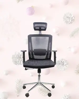 Adjustable Mesh Work Chair | Comfort Meets Style