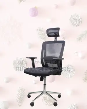 Adjustable Mesh Work Chair | Comfort Meets Style