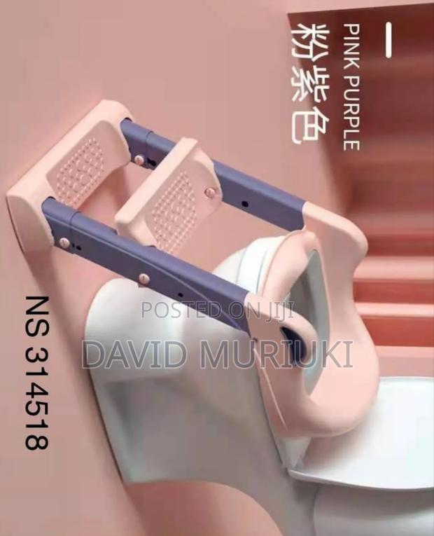 Toilet Ladder - main view